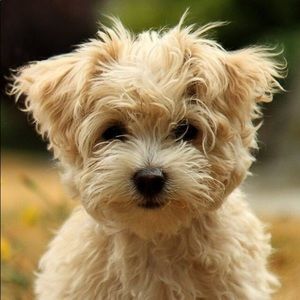 Meet your Posher, Lizeth